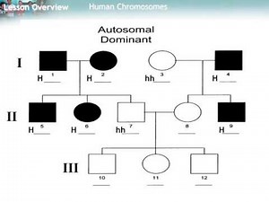 Autosomal Dominant Pedigree