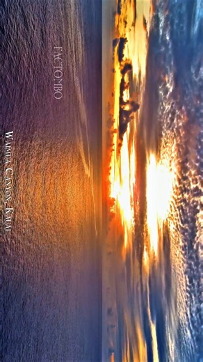 Beautiful Nature of Sunset 🦚