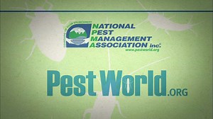 3K views · 35 shares | Think you may have bed bug bites? Dr. Parada explains the signs and symptoms of these bites, which can actually be difficult to tell. | PestWorld | Facebook