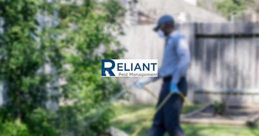 Texas Pest Control | Reliant Pest Management