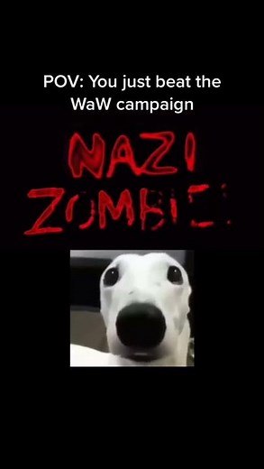 Everyone after beating CoD WaW Campaign