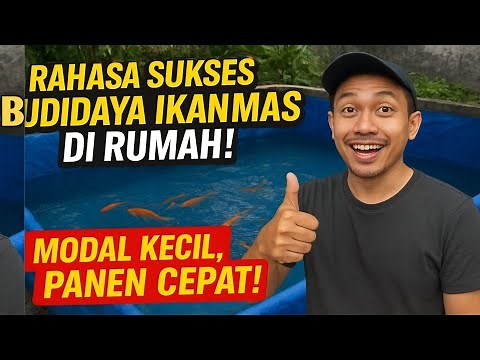 Petani Pemula Wajib Tahu! Cara Budidaya Ikan Mas Super Cepat dan Mudah!💰