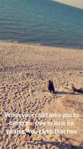 Climbing Trees to Search for Pirates with Kids