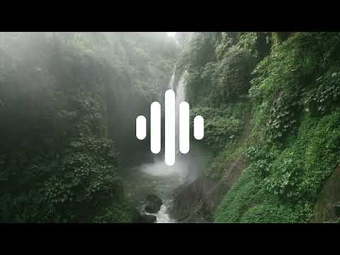 FOREST BIRDS | SOUND EFFECTS | HIGH QUALITY | NO COPYRIGHT