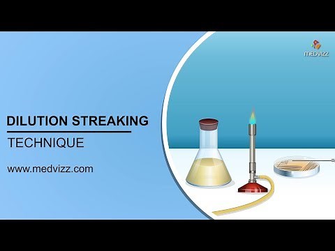 Dilution Streaking Technique : Microbiology Animations