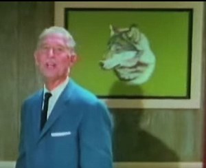 Endangered Wolf Center on 'Wild Kingdom'