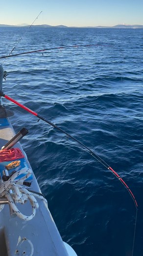 4.6K views · 84 reactions | Natilus & Atlantis on Reels | Facebook