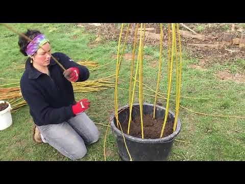 Rankhilfen aus Weidenruten