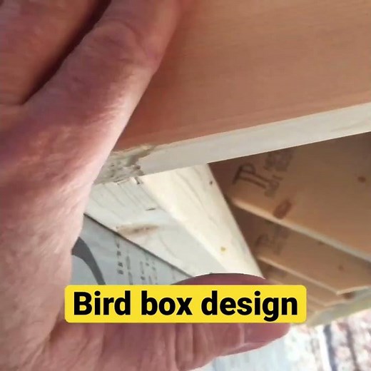 Bird box / soffit box design.Tiny house