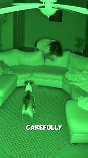 This Clip Saved Itself — No One Remembers Recording It