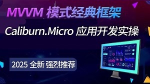 2025最新最全，不学血亏！MVVM模式经典框架Caliburn.Micro应用开发实操；基本数据与命令绑定；窗口管理器；事件聚合器 B1056