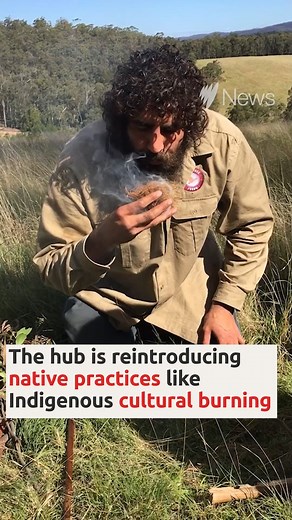 26K views · 257 reactions | Using practices handed down from tens of thousands of years, these Indigenous farmers are on a mission to help regenerate Australia. | SBS News | Facebook
