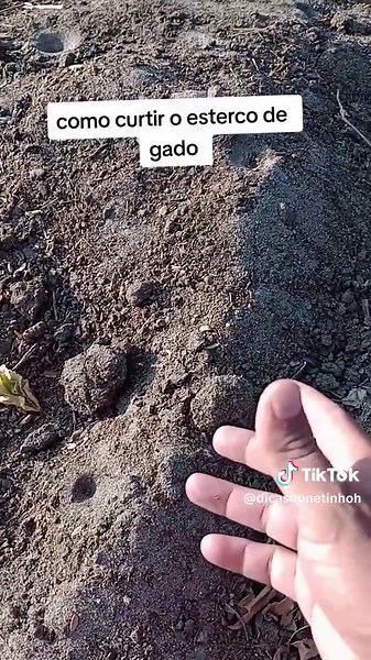 Como Curtir Esterco de Gado para Plantas