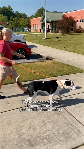 12K views · 157 reactions |  Yesterday was a BIG day! We did a...