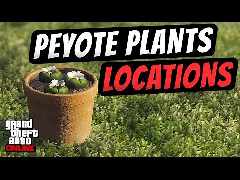 GTA Online Peyote Plant Locations Map Guide | ALL PEYOTE LOCATIONS (Level Up RP Fast)