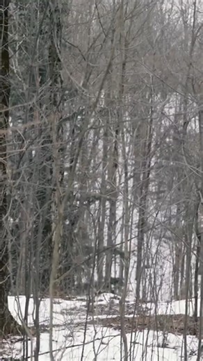 Batteries never die in maps and compasses. Learn how to read a map and use a compass before more survival tips & tricks come your way later today. #outdoors #survival #compass #map #landnavigation | Union Sportsmen's Alliance