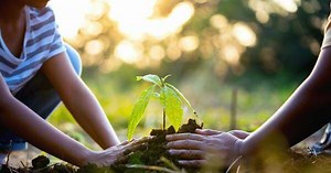 Por que a Igreja no Brasil vai abordar a Ecologia Integral neste ano?