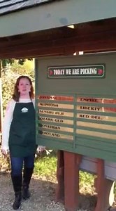 Royal Oak Farm Orchard on Reels