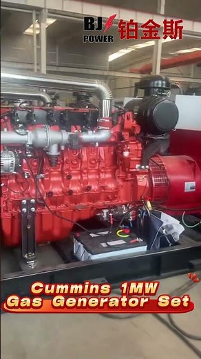 Cummins 1MW Gas Generator Set