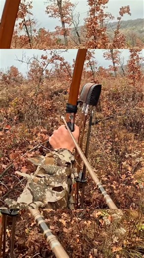 Face-to-Face with a Wild Boar – Bow Hunting Challenge BowHunting #WildBoar #HuntingLife #boar