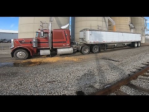 Hauling Corn to The Ethanol Plant | Western Ohio Farm Vlogs #31
