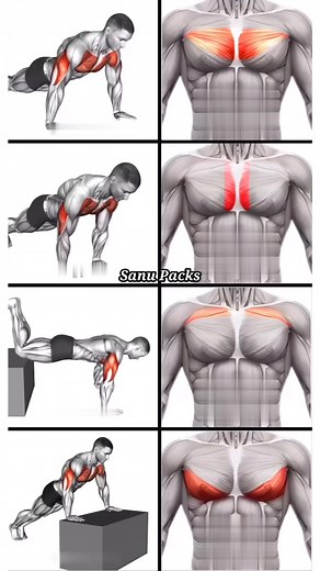 13K views · 236 reactions | ✅ Chest Workout at Home #fitness #gym #exercise #workout #workoutroutine #exercisetips #fitnesstips #bodybuilding #chestworkout | Sanu Packs | Facebook