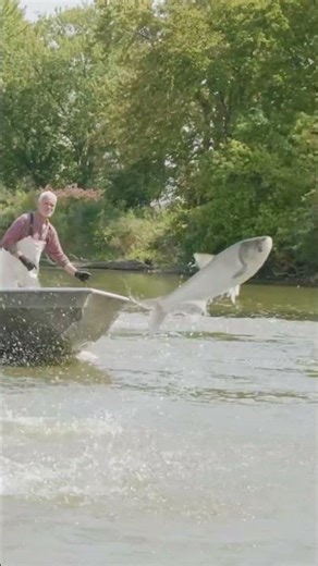 The fish are literally jumping INTO the boat 😎