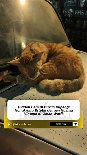Omah Wasik Surabaya - Kafe Vintage Cozy di Dukuh Kupang Timur