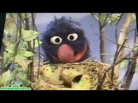 Sesame Street Grover and the Yellow Birds