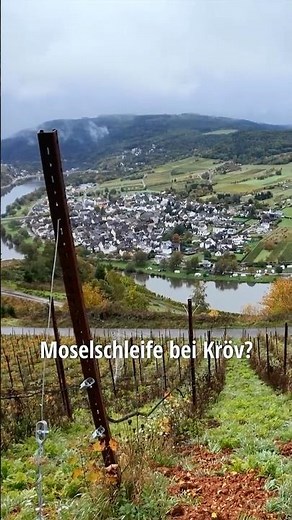 Wandern an der Mosel: die Moselschleife bei Kröv!