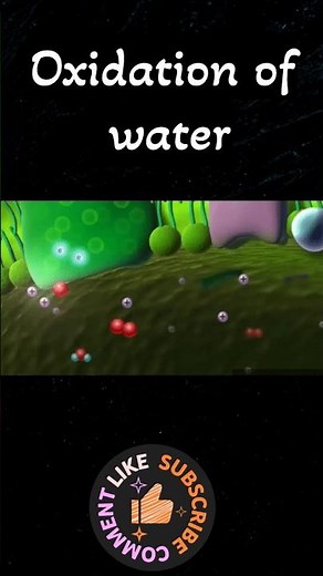 Photosynthesis| Photolysis of Water| #BioExplorer