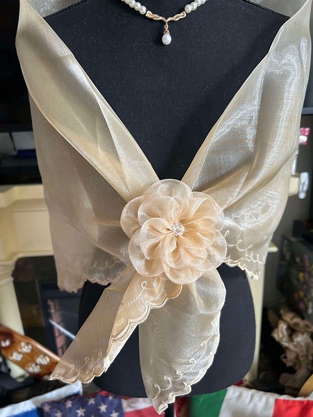 Embroidered Pinya Organza Alampay Shawl With Brooch, Filipino Formal Attire - Etsy
