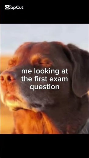 #cooked#dog#funny#meme#relatable