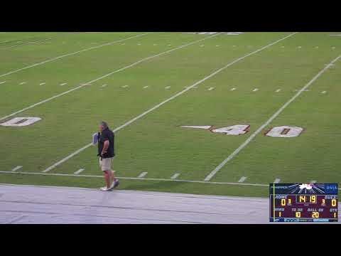 Game 5 Decatur VS Hartselle