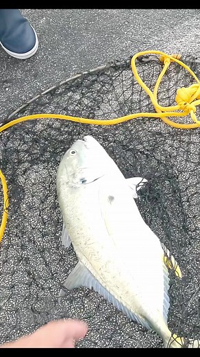 Pesca de Jiguagua en Duck Key: Un Aventura Inigualable