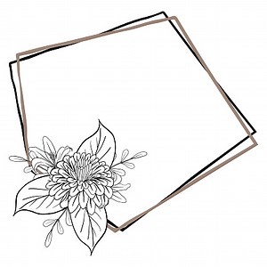 Beautiful Foliage Floral Frame Text Divider with elegant floral and...