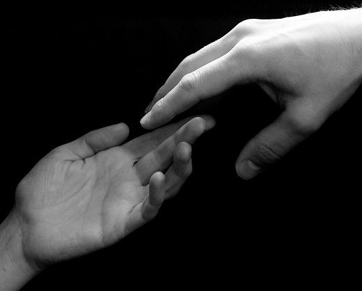 About Our Team   — Cheetah House