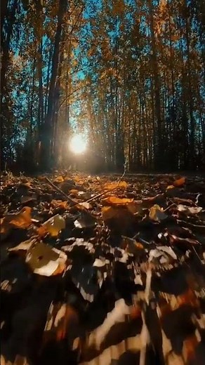 Nature🌿🍃 - 💆Relaxing Music - Stress Relief