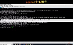 postgresql pgpool主备模式