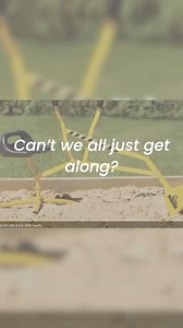 1.8K views · 8 comments | Construction means communication and often that communication requires delivering hard truths. See how @integro_builders handles Hard Conversations @buildshowlive with her clients and how you can improve your communication at the LINK IN OUR BIO Thanks to our sponsor @oknoplast_us | Build Show Network | Facebook