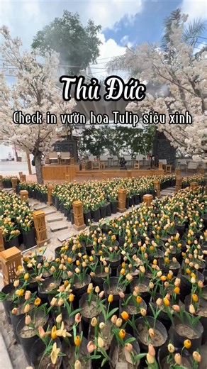 10K views · 32 reactions | Chiếc cafe ở Thủ Đức với vườn hoa tulip xịn sò và nhiều concept chụp hình siêu xinh #xuhuong #reviewcafe #cafesaigon #cafethuduc #thuduc #tiemtrakimwon #dicungbaoo | Tips Tạo Dáng Chụp Ảnh | Facebook