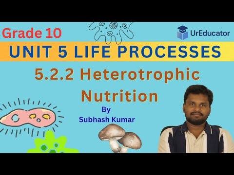 Heterotrophic Nutrition Explained in 13 Min #ureducator #heterotrophicnutrition #cbse2025 #biology