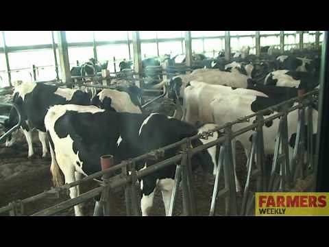 Farmers Weekly visits a 32,000 cow dairy