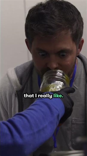 This is what High Terpene Cannabis Extract Looks Like...