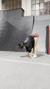 780K views · 1.6K reactions | Thursday pike roll & back pike! I'm always in for a challenge with a twist!  #flexibility #backflip #calisthenics #viralvideos | LittleTFitness | Facebook