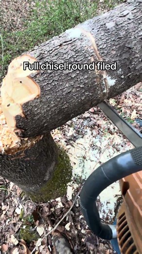 Freshly sharpen full chisel round file chain ￼