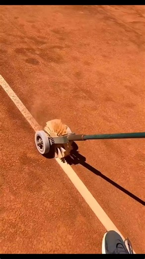 Mi familia pasó 23 años bromeando que debía ser el hijo del cartero porque no me parezco en nada... #reddit_tiktok #askreddit #real #reddit #redditstoriestts