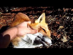 RIP RonRon April 16, 2008 - April 6, 2016