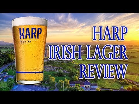 Harp Irish Lager Review