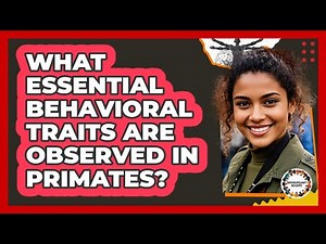 What Essential Behavioral Traits Are Observed in Primates?